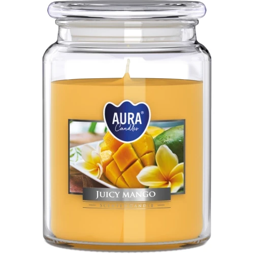 ŚWIECA ZAPACHOWA W SZKLE  SND99-475  SOCZYSTE MANGO