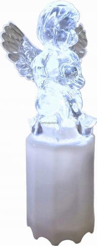 WKŁAD LED 1/20/WLC  ANIOŁEK BIAŁY  / 1