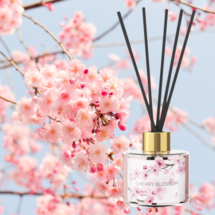 DYFUZOR W SZKLE  CHERRY BLOSSOM 100 ml