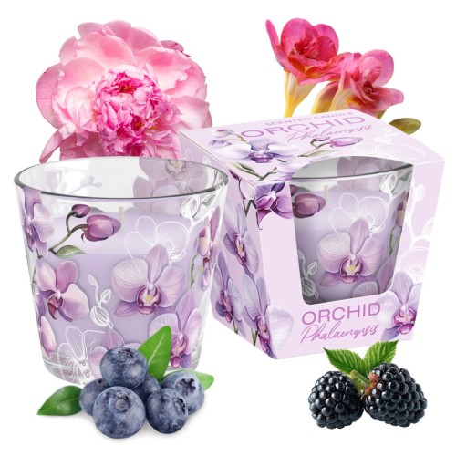ŚWIECA ZAPACHOWA W SZKLE  ORCHID PHALAENPOSIS  115 G