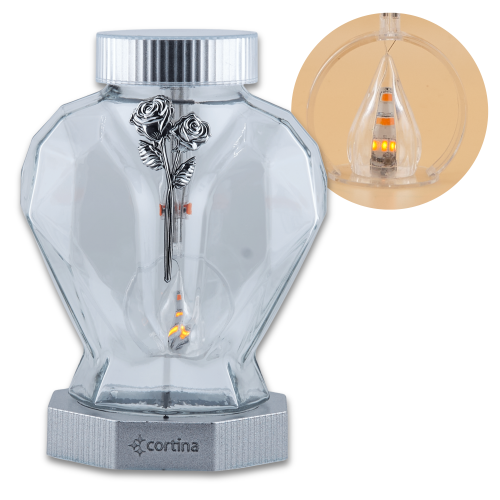 ZNICZ LED 2/25/ZSC SOLARNY SREBRNY