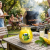 ZESTAW 6 SZTUK CITRONELLA S72-86 CYTRUSY