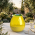 ZESTAW 6 SZTUK CITRONELLA S72-86 CYTRUSY